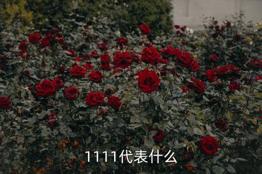 1111代表什么