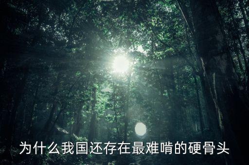 什么是難啃的硬骨頭，難啃的硬骨頭指向誰