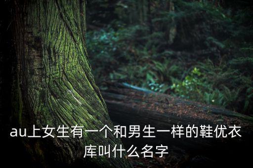 au上女生有一個和男生一樣的鞋優(yōu)衣庫叫什么名字