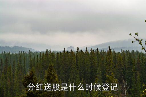 分紅送股是什么時(shí)候登記