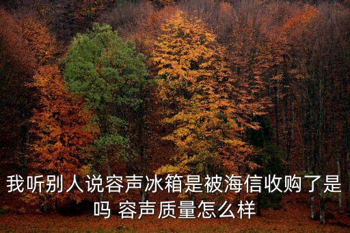 容聲冰箱為什么會被海信收購，海信和容聲是什么關系