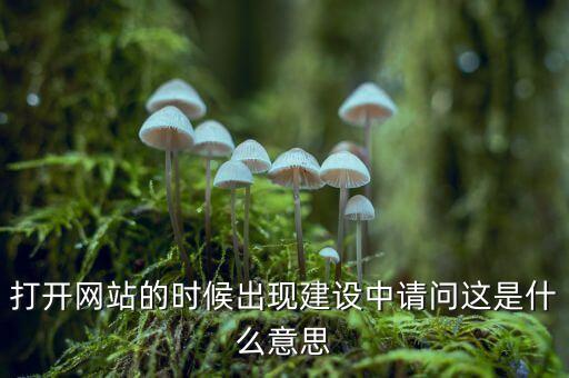 打開網(wǎng)站的時候出現(xiàn)建設(shè)中請問這是什么意思