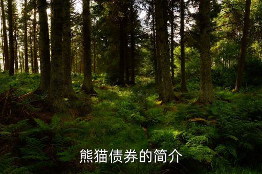 熊貓債和點(diǎn)心債是什么，熊貓債券和點(diǎn)心債券的來(lái)歷現(xiàn)狀及發(fā)展前景