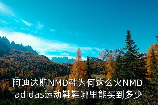 阿迪達(dá)斯NMD鞋為何這么火NMD adidas運(yùn)動鞋鞋哪里能買到多少