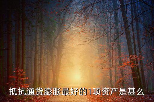 通貨緊縮什么資產(chǎn)好，抵抗通貨膨脹最好的1項(xiàng)資產(chǎn)是甚么