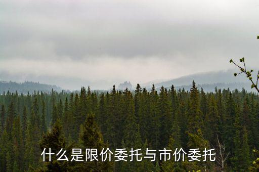 什么是限價委托與市價委托
