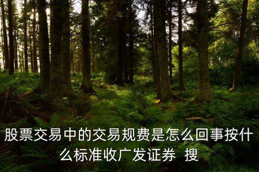 股票交易中的交易規(guī)費是怎么回事按什么標(biāo)準(zhǔn)收廣發(fā)證券  搜