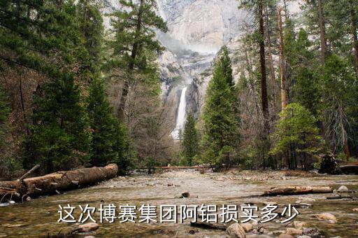 博賽集團(tuán)阿壩鋁廠有些什么部門，這次博賽集團(tuán)阿鋁損實多少