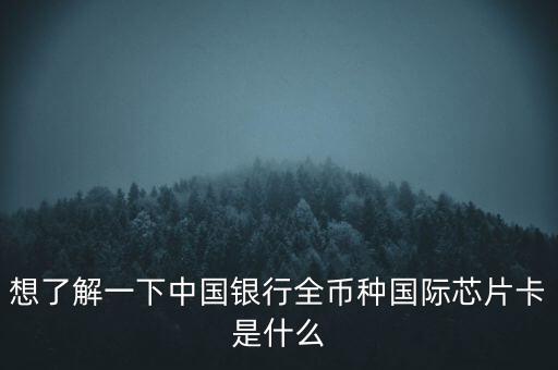 想了解一下中國銀行全幣種國際芯片卡是什么