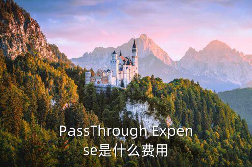 PassThrough Expense是什么費用