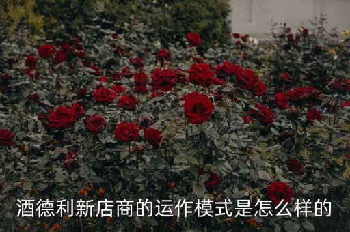 什么是n2n模式，如何設(shè)置n2n gui急