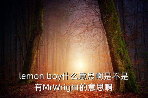 lemon boy什么意思啊是不是有MrWright的意思啊