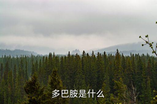 興業(yè)寶是什么，OKAYA是什么意思