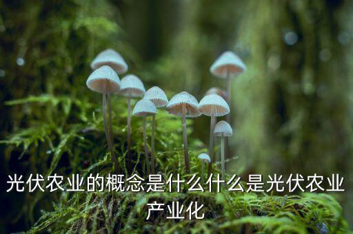 光伏農(nóng)業(yè)概念是什么，光伏下鄉(xiāng)什么是光伏下鄉(xiāng)