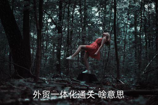 外貿(mào)一體化通關(guān) 啥意思