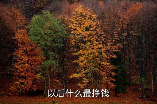 在未來什么最賺錢，以后什么最掙錢