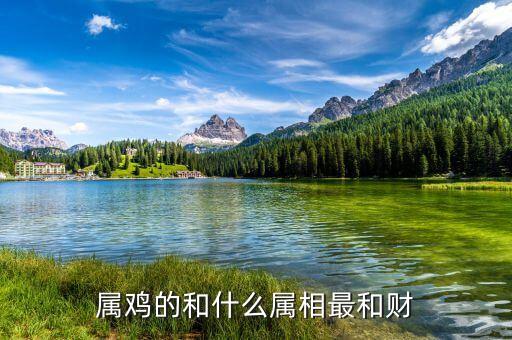 屬雞的和什么屬相最和財(cái)