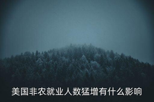 美國非農(nóng)就業(yè)人數(shù)猛增有什么影響
