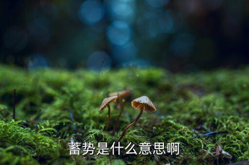 整理蓄勢格局什么意思，整理蓄勢格局觀望為主什么意思
