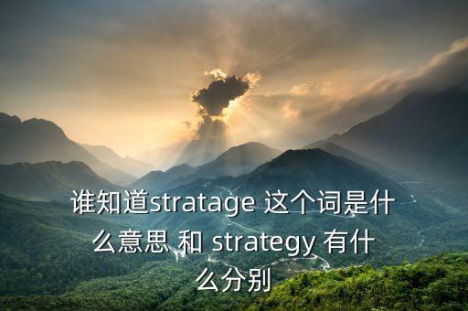 誰知道stratage 這個詞是什么意思 和 strategy 有什么分別