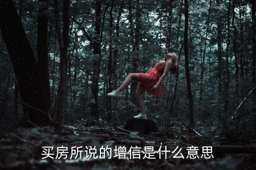 買房所說的增信是什么意思
