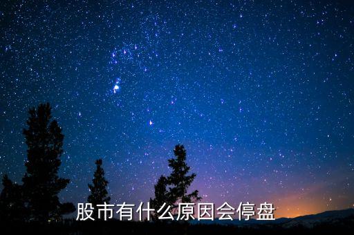 002203為什么停盤，股市有什么原因會停盤
