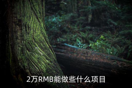 2萬可以投資什么，2萬塊能做什么生意