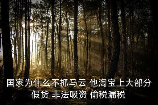 國家為什么不把馬云雙規(guī)了，國家為什么不抓馬云 他淘寶上大部分假貨 非法吸資 偷稅漏稅