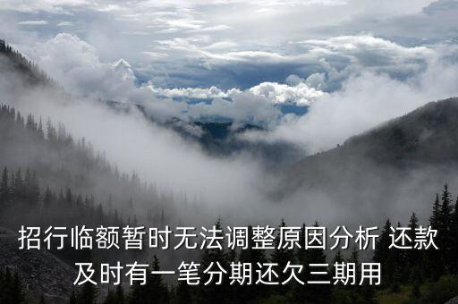 招行臨額暫時無法調(diào)整原因分析 還款及時有一筆分期還欠三期用