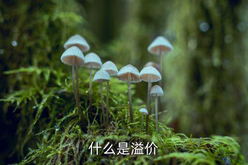 什么是溢價