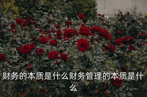財(cái)務(wù)的本質(zhì)是什么財(cái)務(wù)管理的本質(zhì)是什么