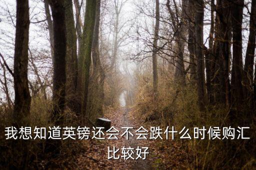 我想知道英鎊還會(huì)不會(huì)跌什么時(shí)候購(gòu)匯比較好