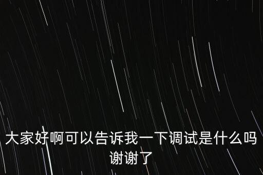 大家好啊可以告訴我一下調(diào)試是什么嗎謝謝了