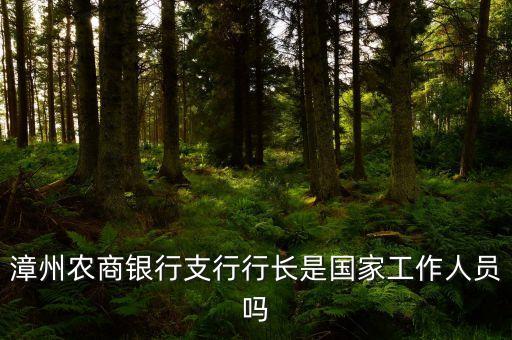 漳州農(nóng)商銀行支行行長(zhǎng)是國(guó)家工作人員嗎