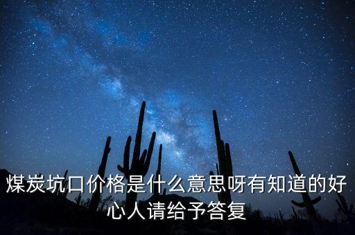 煤炭坑口價格是什么意思呀有知道的好心人請給予答復