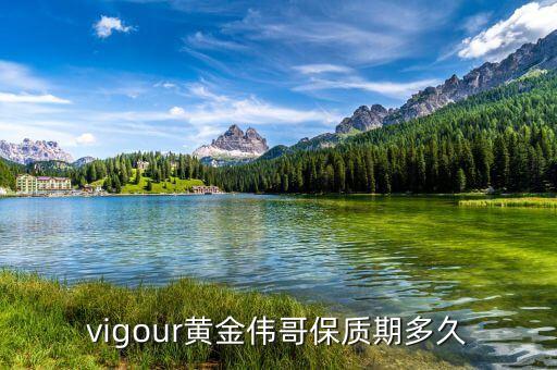 偉哥專利什么時(shí)候到期，vigour黃金偉哥保質(zhì)期多久