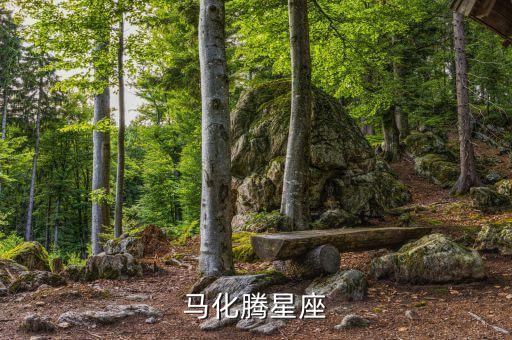 馬化騰星座