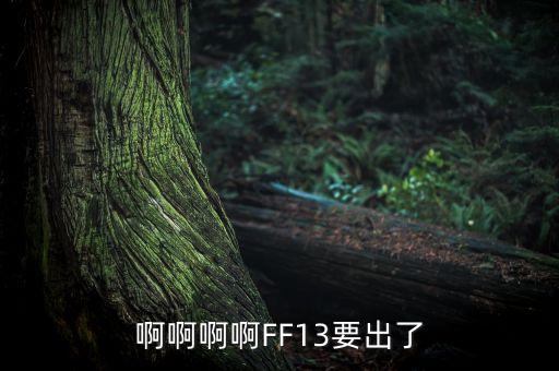 什么是賣方首席，啊啊啊啊FF13要出了