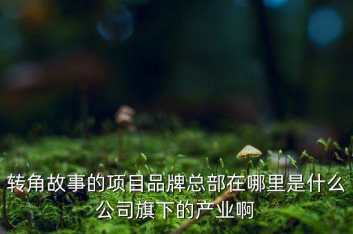 氏樂邦是什么公司，apetrelume company是什么公司