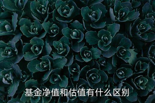 凈值估算是什么意思，基金凈值和估值有什么區(qū)別