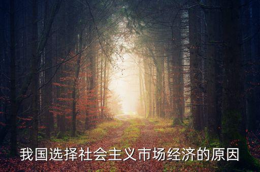 我國(guó)選擇社會(huì)主義市場(chǎng)經(jīng)濟(jì)的原因
