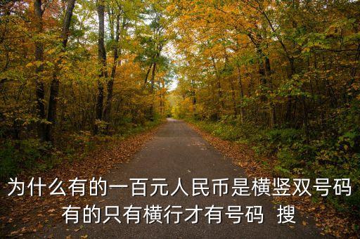 為什么有的一百元人民幣是橫豎雙號碼有的只有橫行才有號碼  搜