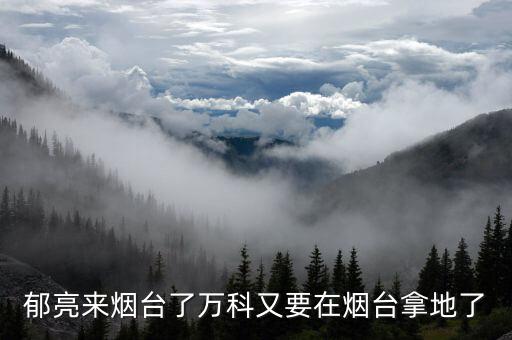 郁亮來(lái)煙臺(tái)了萬(wàn)科又要在煙臺(tái)拿地了
