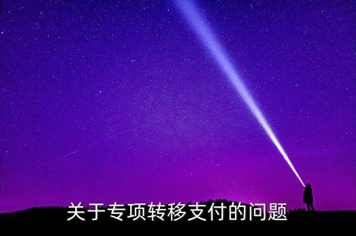 關(guān)于專項轉(zhuǎn)移支付的問題