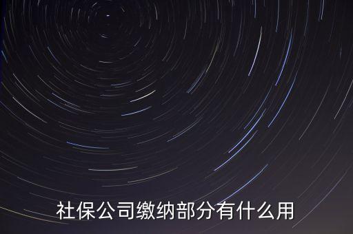 社保公司繳納部分有什么用