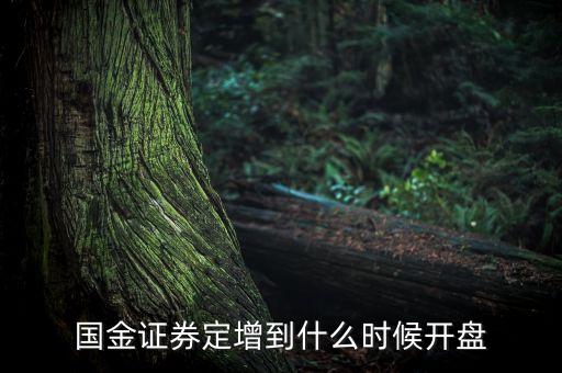 國金證券定增到什么時候開盤