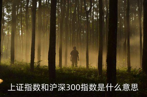 什么是滬深300etf，滬深300etf有多少只