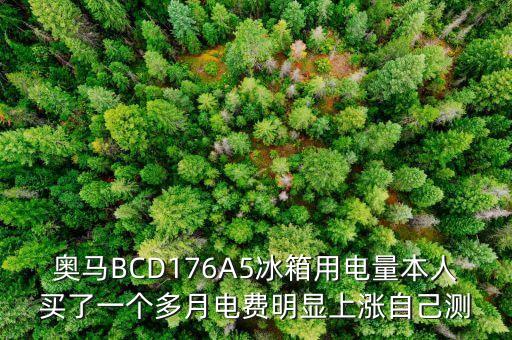 奧馬BCD176A5冰箱用電量本人買了一個多月電費明顯上漲自己測
