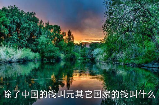 除了中國的錢叫元其它國家的錢叫什么