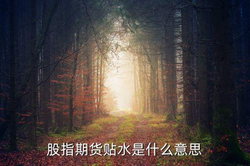 股票貼水是什么意思，股指期貨貼水是什么意思